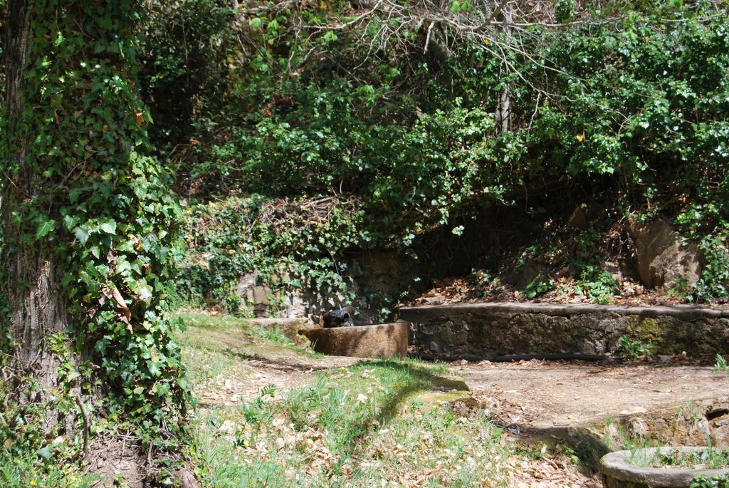 Casa Rural La Cuadraa Linares de Riofrio Exterior photo